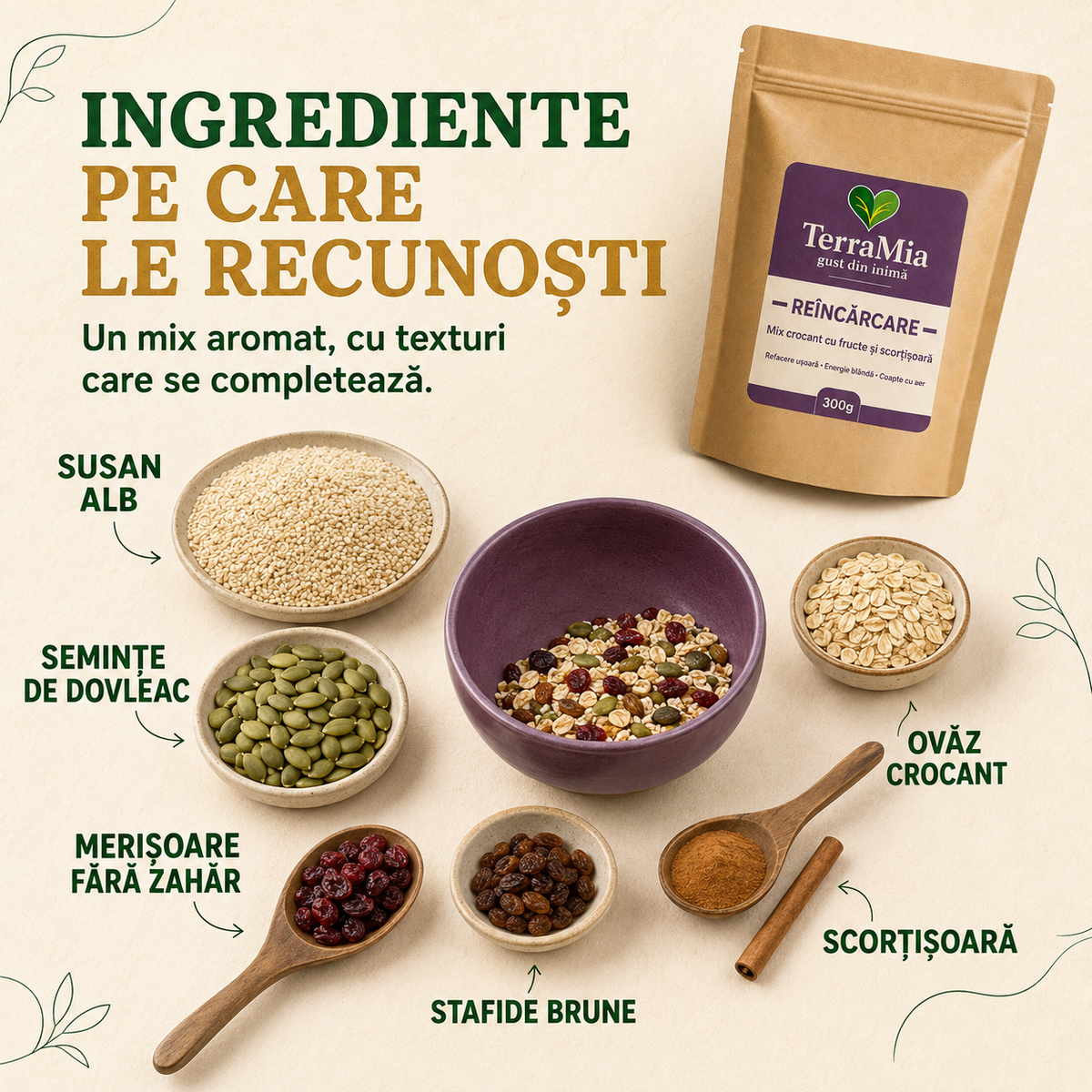 Reîncărcare — Gustare crocantă cu merișor, susan și scorțișoară