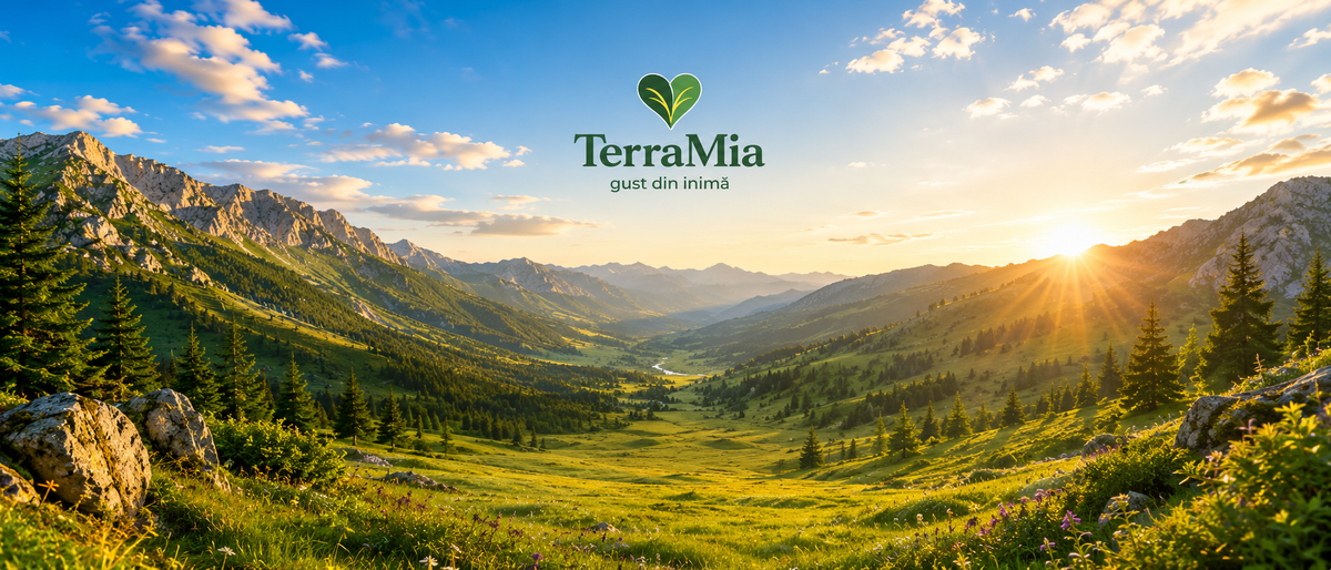 TerraMia – gustări naturale din semințe, cereale și fructe uscate pentru energie, focus și echilibru